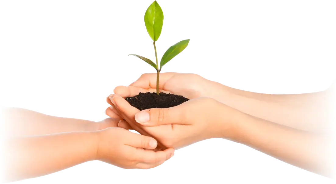 Compromiso Ambiental